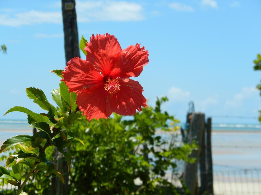 Pousada Tatiba Morro de São Paulo Εξωτερικό φωτογραφία